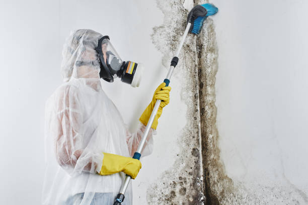 Best Crawl Space Mold Removal  in Sunset, UT