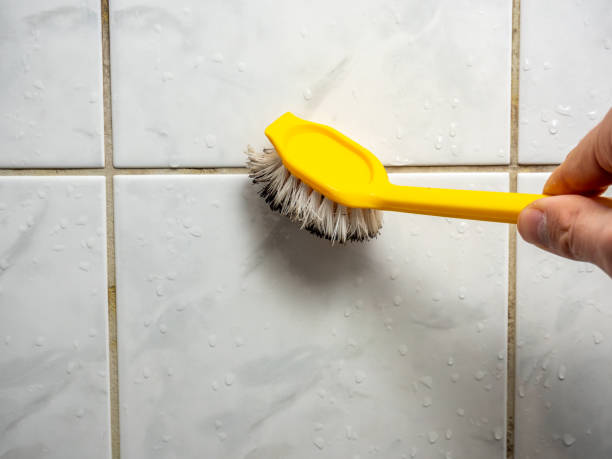 Mold Removal Process in Sunset, UT