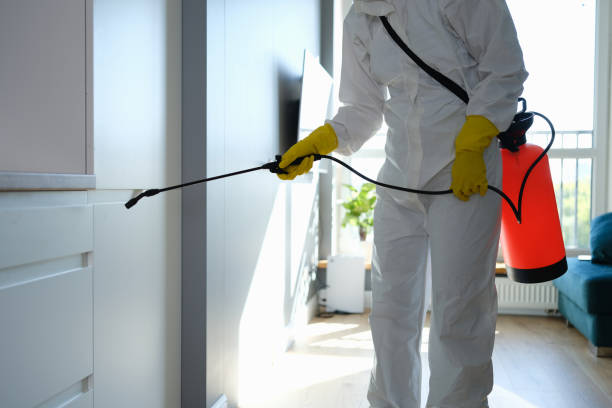 Best Mold Remediation  in Sunset, UT