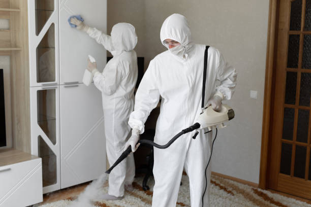 Best Office Mold Removal Services  in Sunset, UT