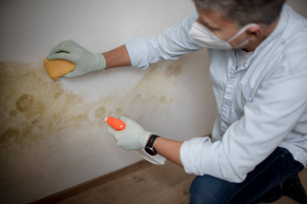 Best Mold Testing  in Sunset, UT