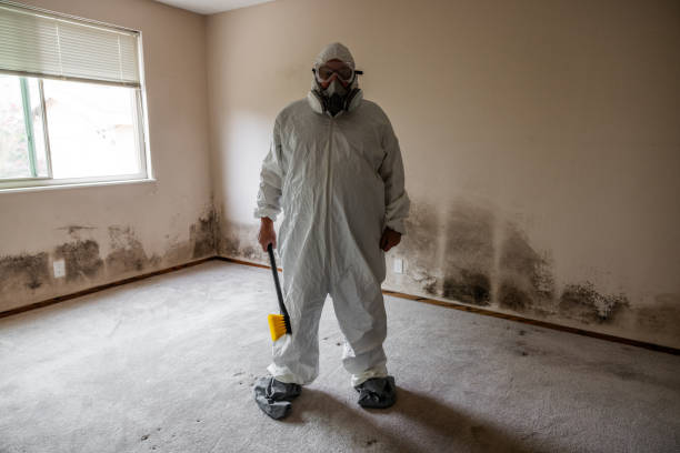Best Mold Cleaning Services  in Sunset, UT