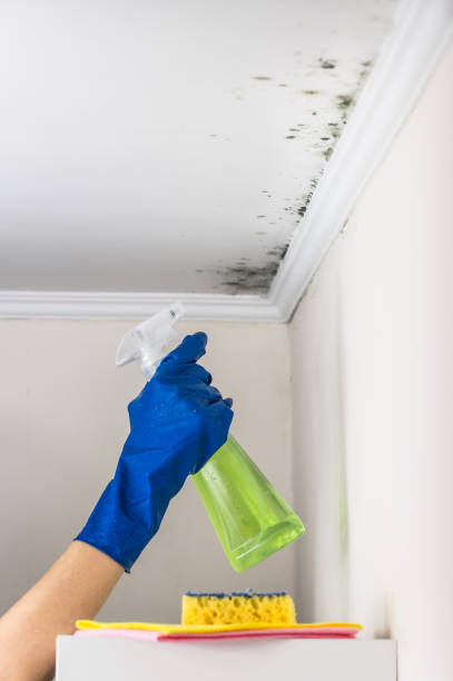 Best Mold Cleaning Services  in Sunset, UT